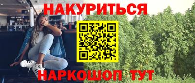 стафф Гудермес