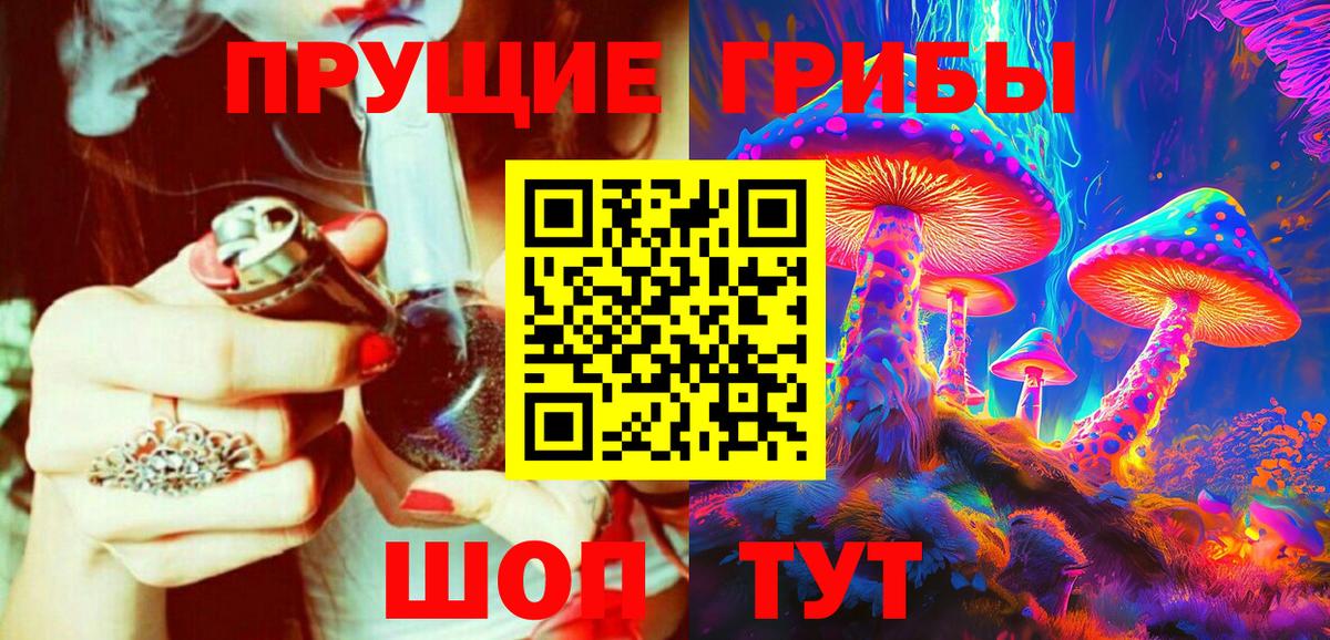 Десногорск  Псилоцибиновые грибы Psilocybe  Вход с VPN 